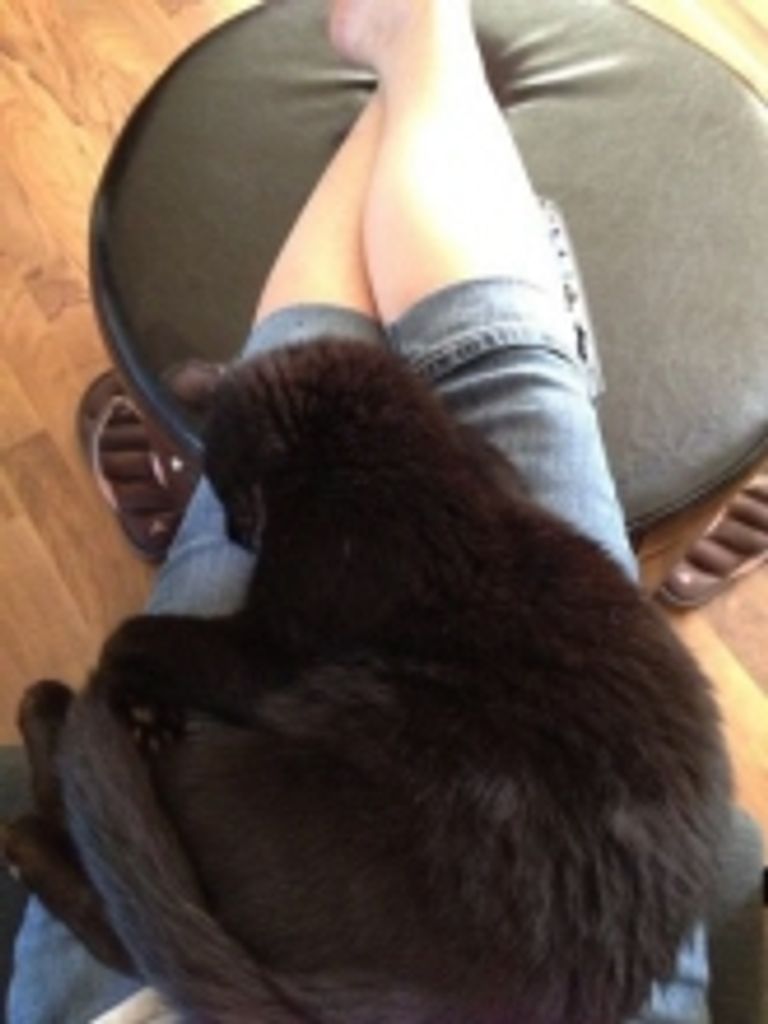 Jack Solomon Profile Photo