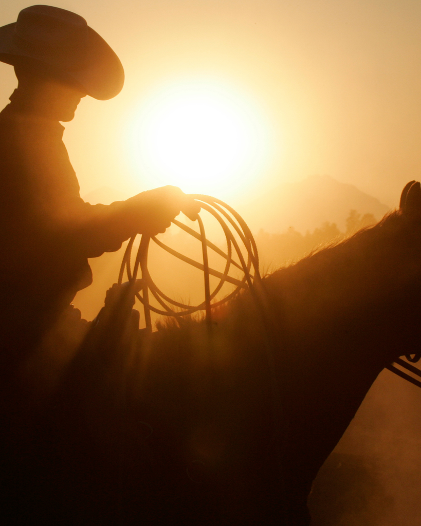 Joel Blaine Dilday Profile Photo