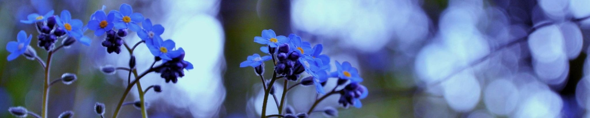 Cover photo for Marian Claire Widmoyer's Obituary