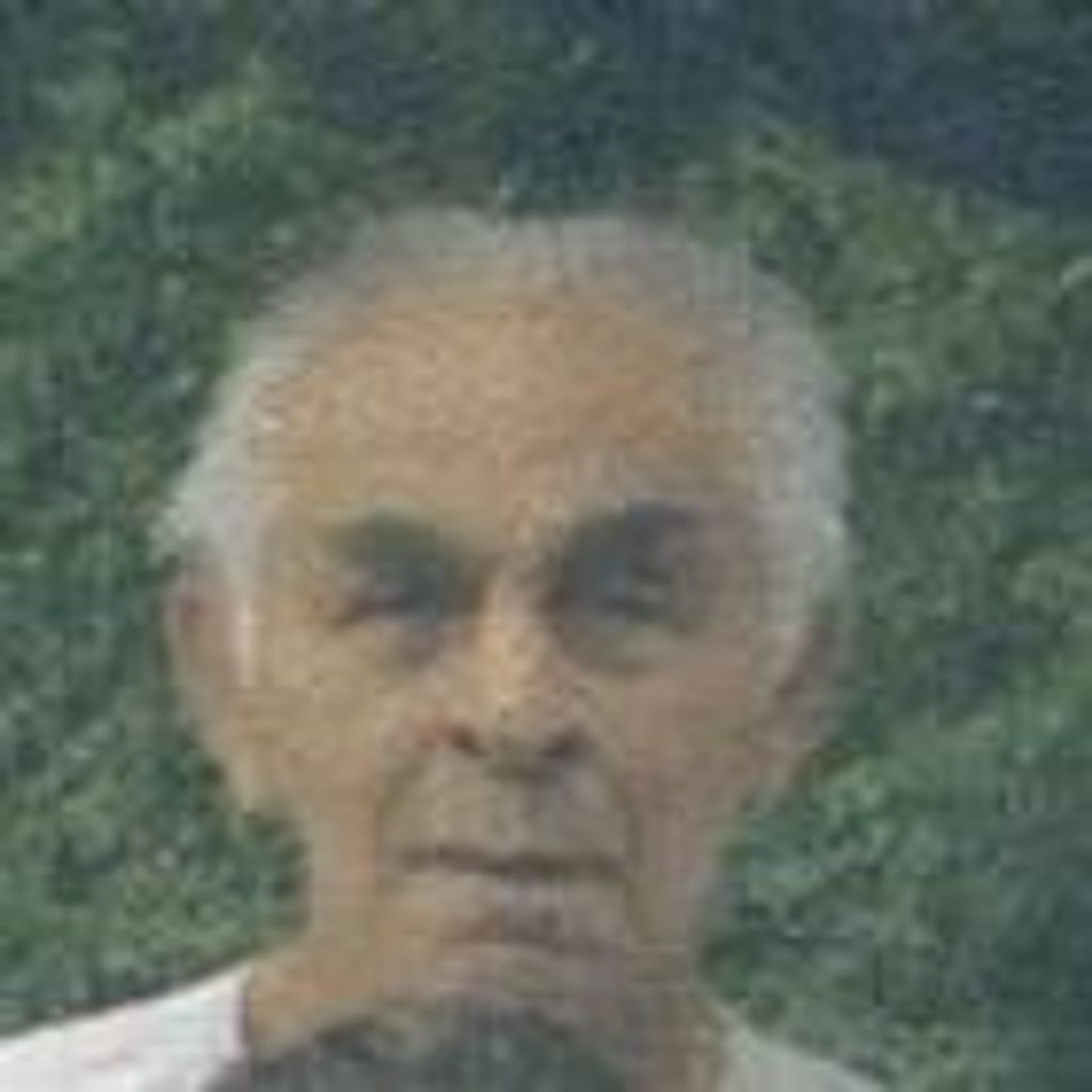 John Joseph Davanzo Sr