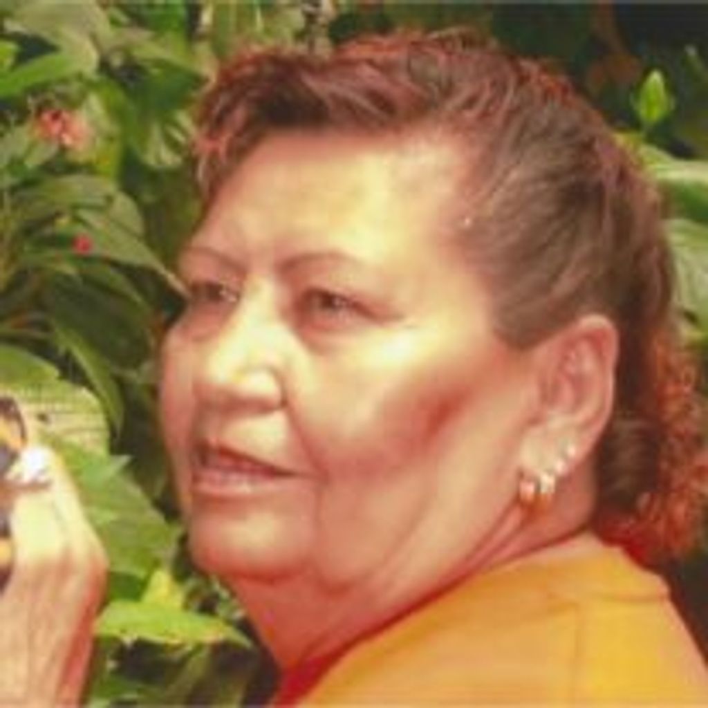 Dominga Rivera Profile Photo