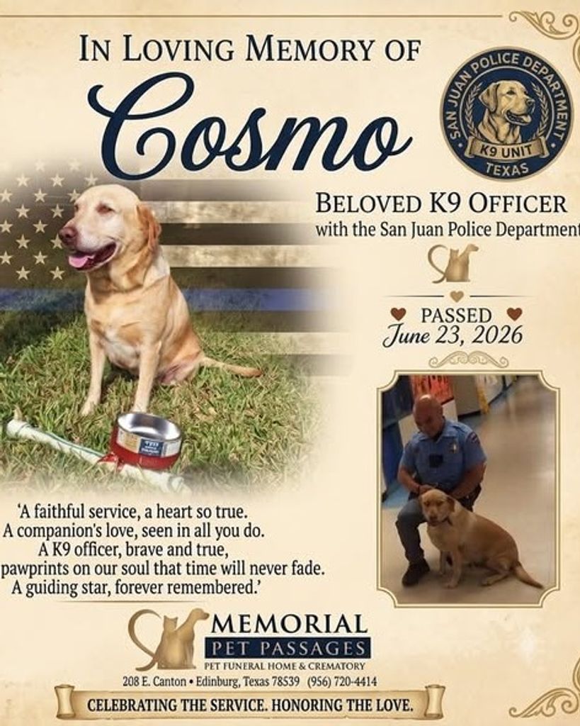 Cosmo . Profile Photo