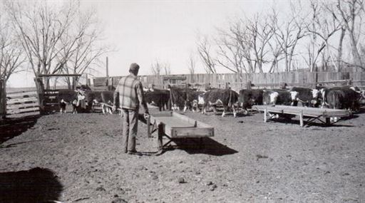 Earl B. Erdman photo gallery thumbnail 13 of 98