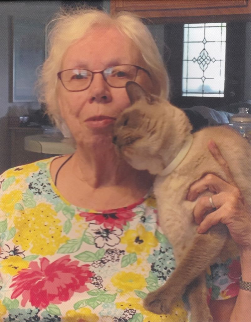 Margery A Schenk Profile Photo