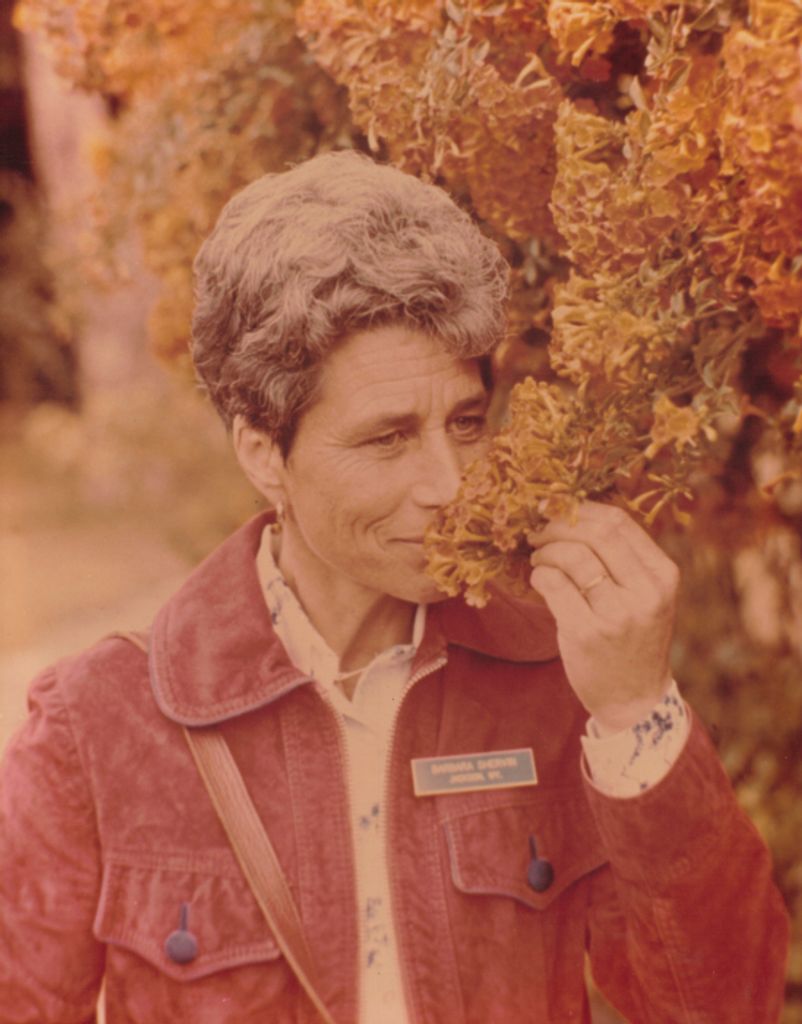 Barbara Shervin