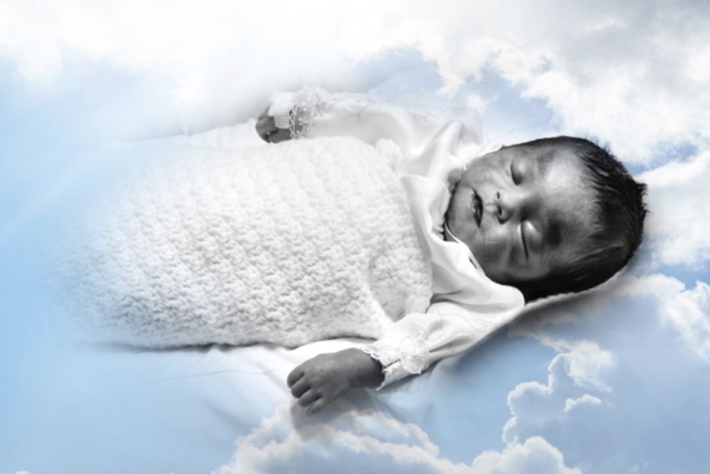 Jose Enrique Robles, Jr.
