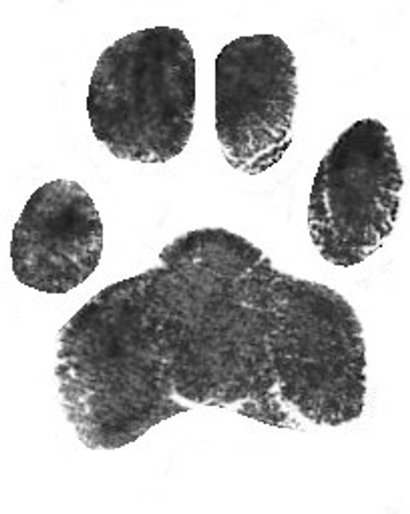 Logan Duray Profile Photo