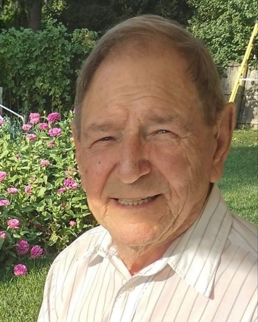 Dino Brandolisio