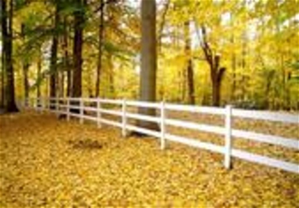 Belinda Grace Galbreath