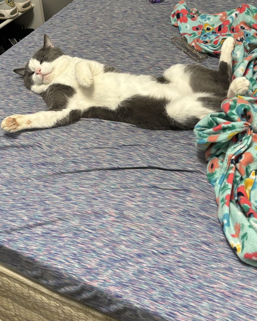 Bucky Profile Photo