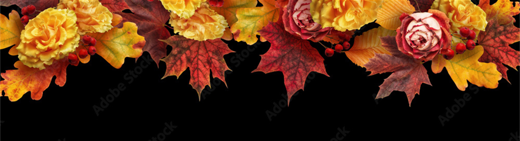 Cover for Shirley Lee Tolliver's Obituary