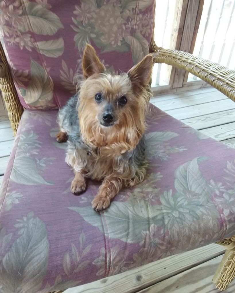 Sonny Cooper Profile Photo