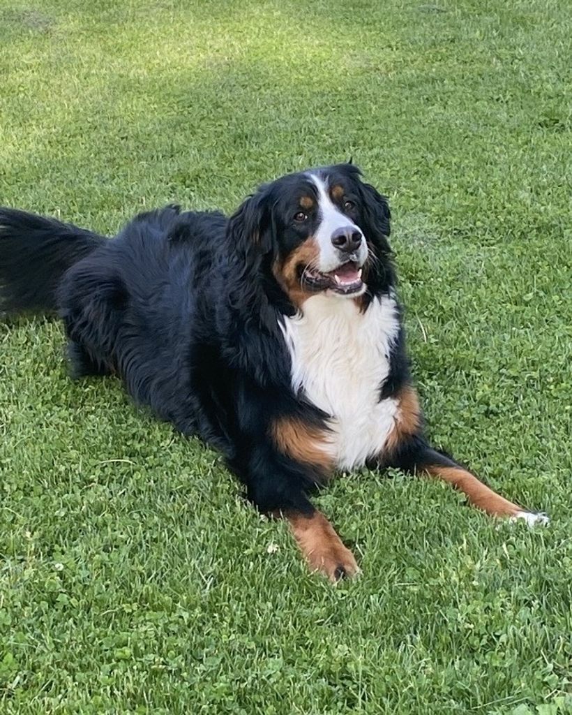 Yona “Mushy” Profile Photo