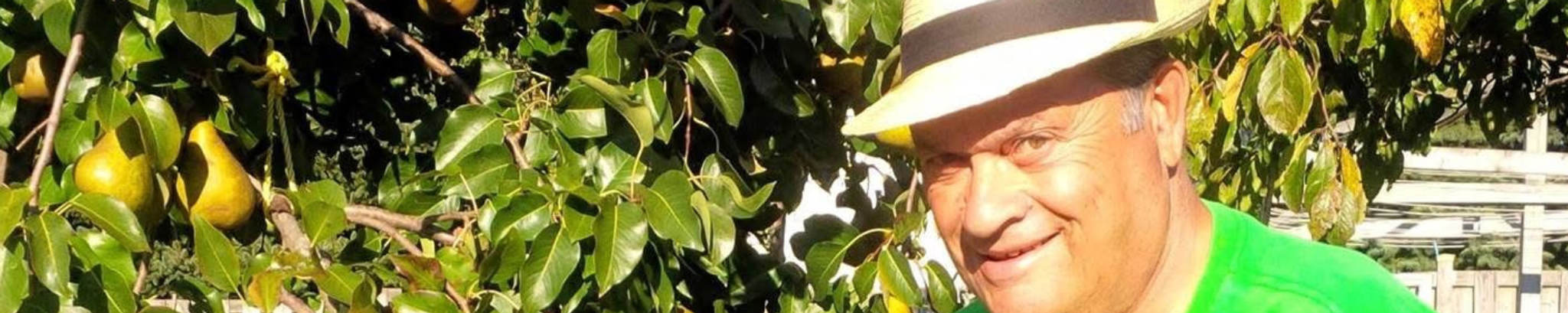 Cover for Cosimo Commisso's Obituary