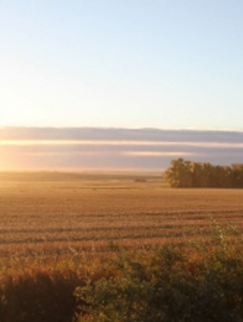 Walter Penner Baerg Profile Photo
