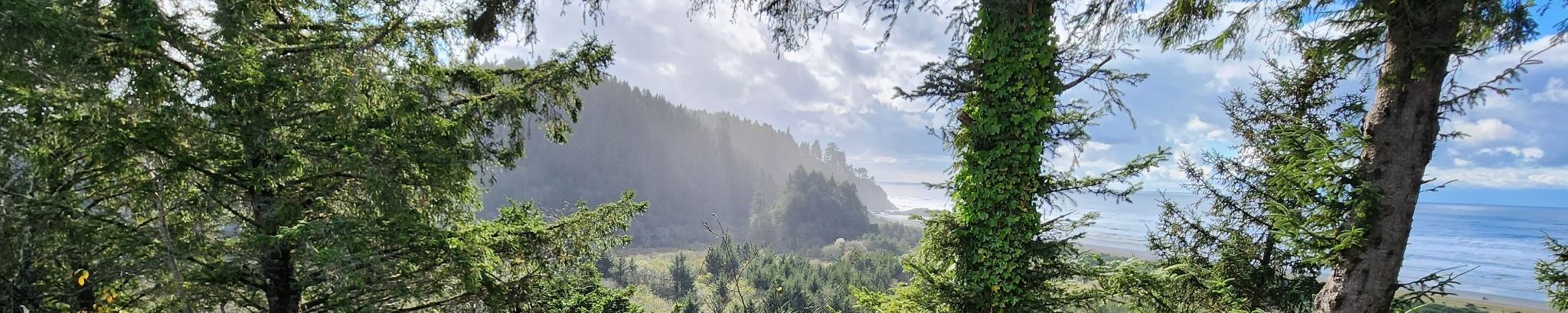 Cover photo for Mackenzie Boxer's Obituary