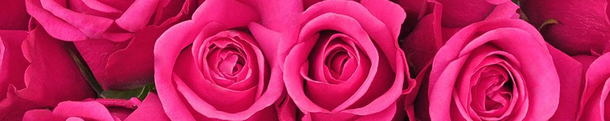 Cover photo for Joan Ellen Ramsey's Obituary