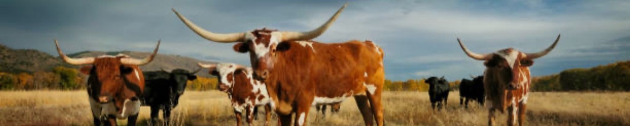 Cover for Richard Dean Carlson's Obituary