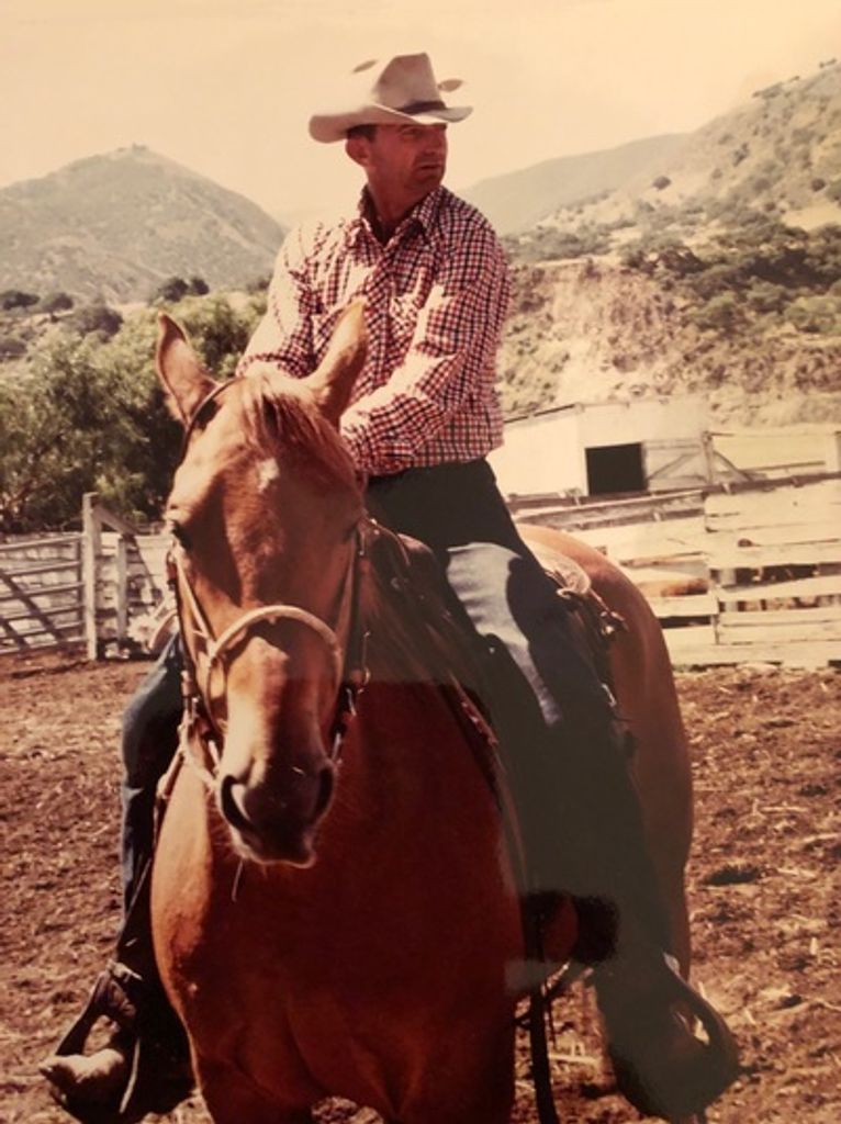 Harry Nelson Profile Photo