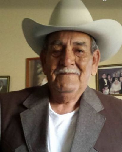 Melchor Maynez's obituary image