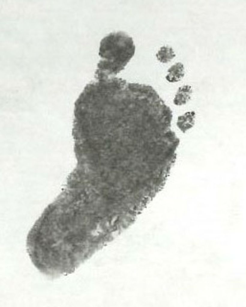 Laylah May Cantwell