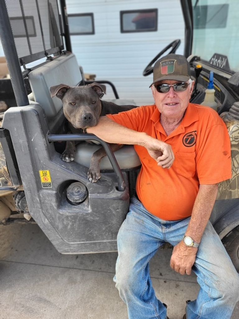 Philip A. Naas Profile Photo