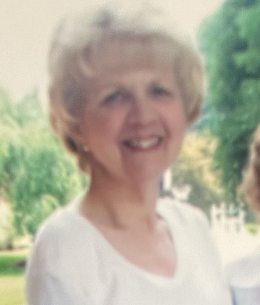 Donna Healy Amini Profile Photo