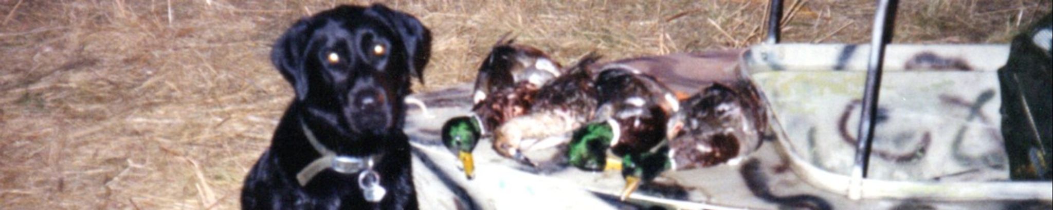 Cover photo for Conway Bowman's Obituary