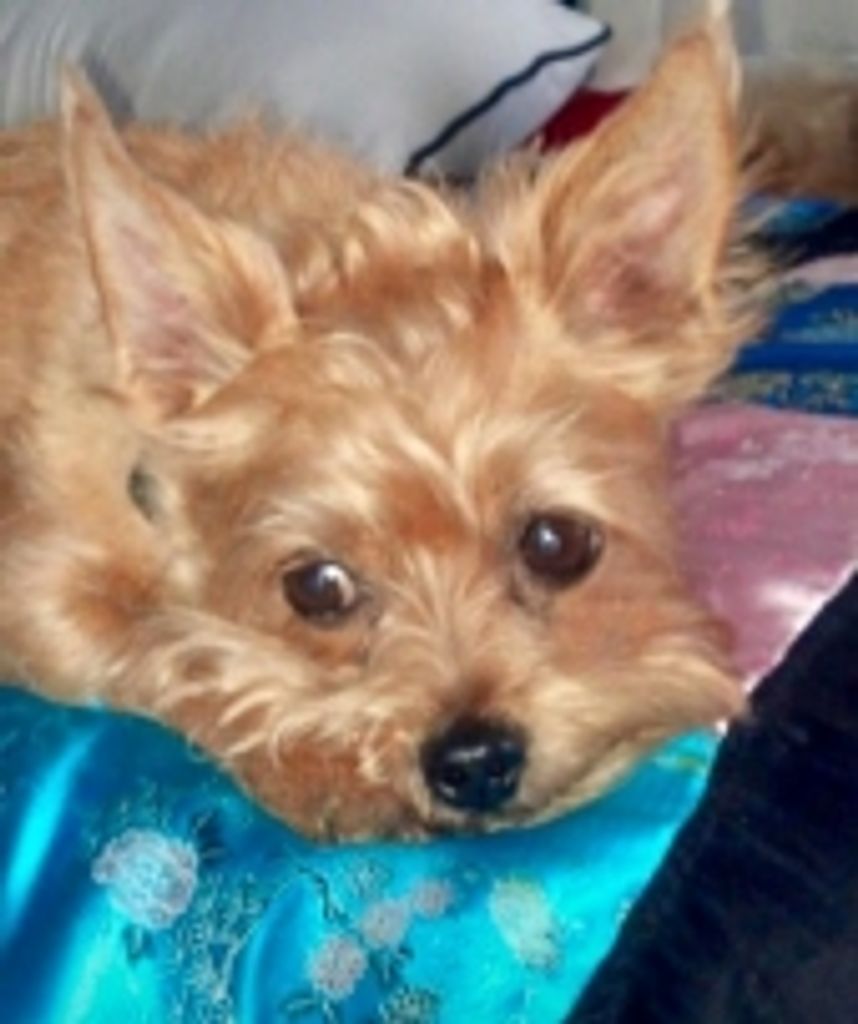 Oliver Carey Profile Photo