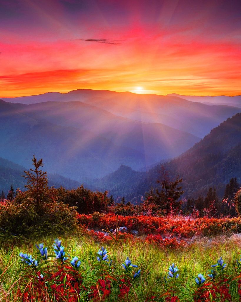 Gregory Don Williams