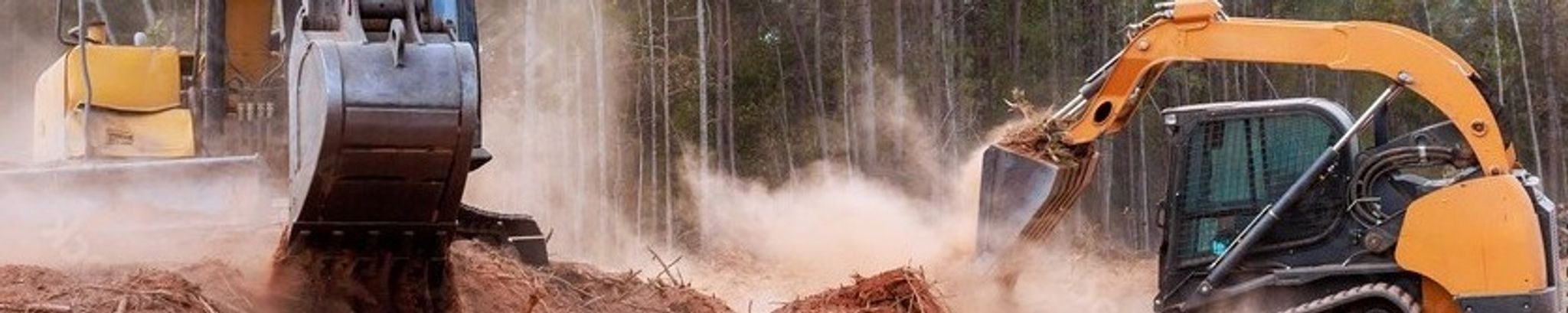 Cover for Louis George Duellman's Obituary