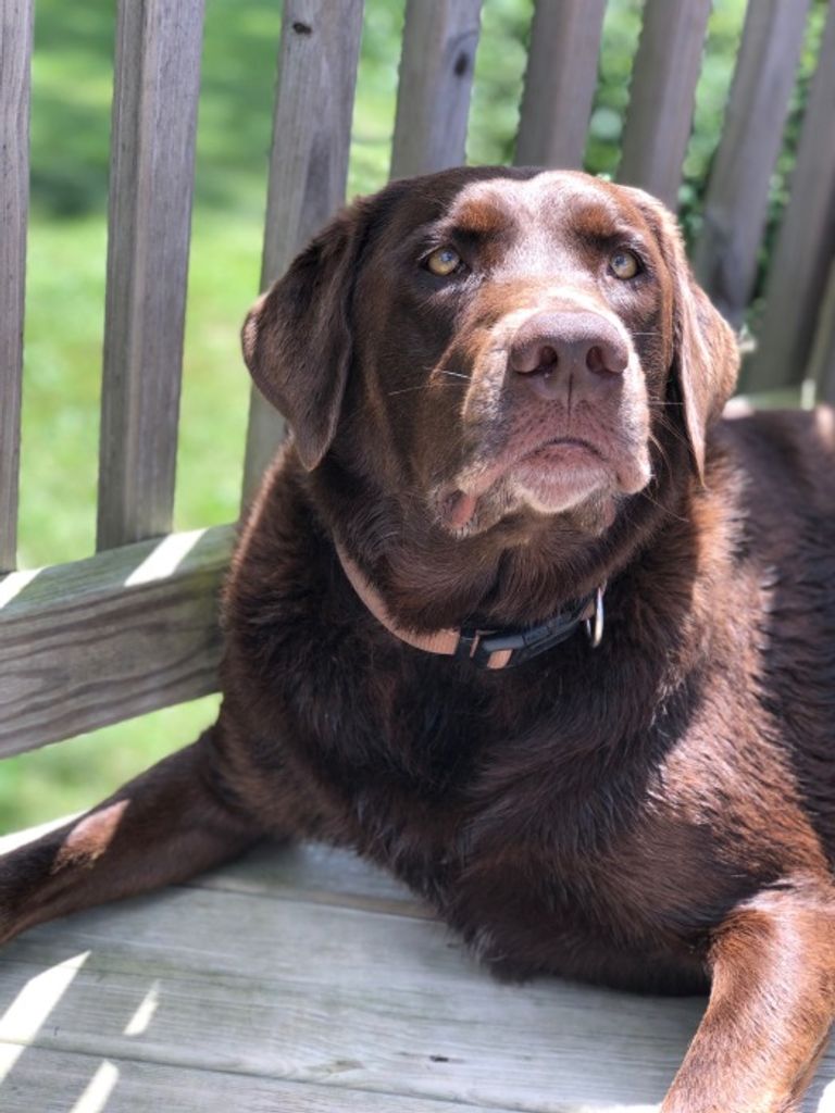 Abbadaisy Mabel Reynolds ‘Abby’