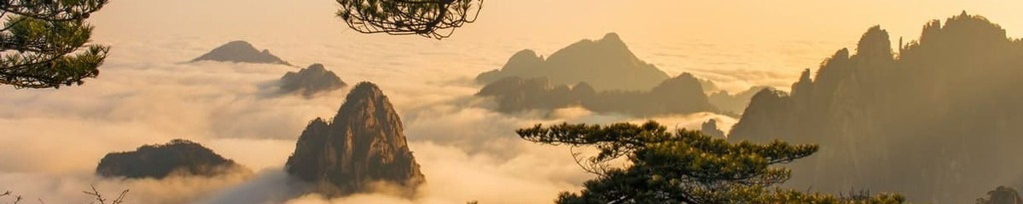 Cover for Shih Li Liu's Obituary