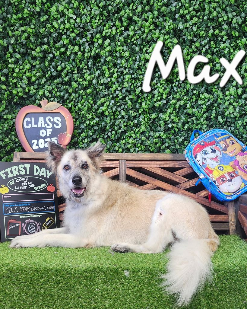 Max Profile Photo
