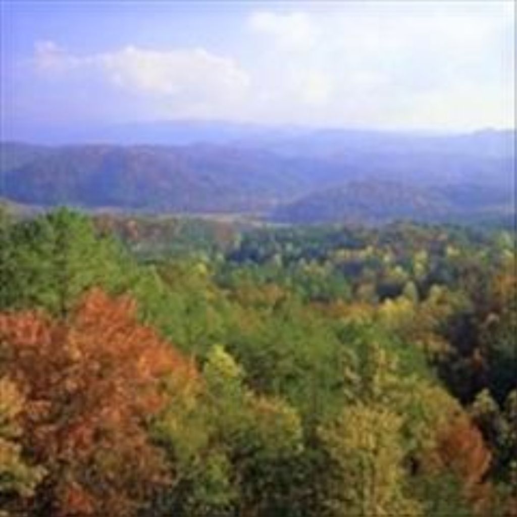 Bobby Gene Coatney Profile Photo