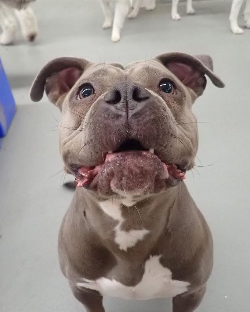 Tink Montgomery Profile Photo