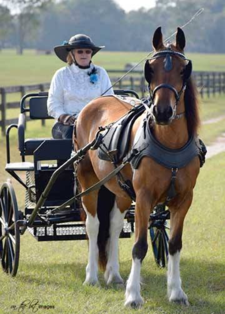 Sharyn L. Knecht Bishop