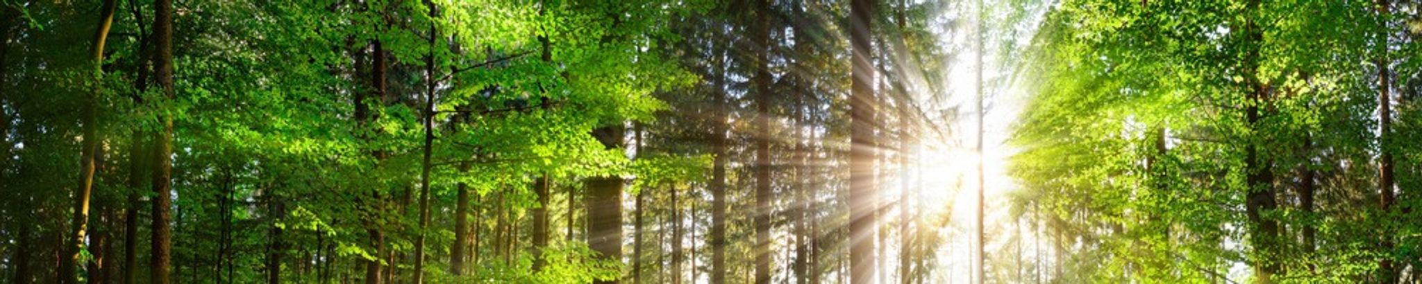 Cover photo for Nancy V. Snyder's Obituary