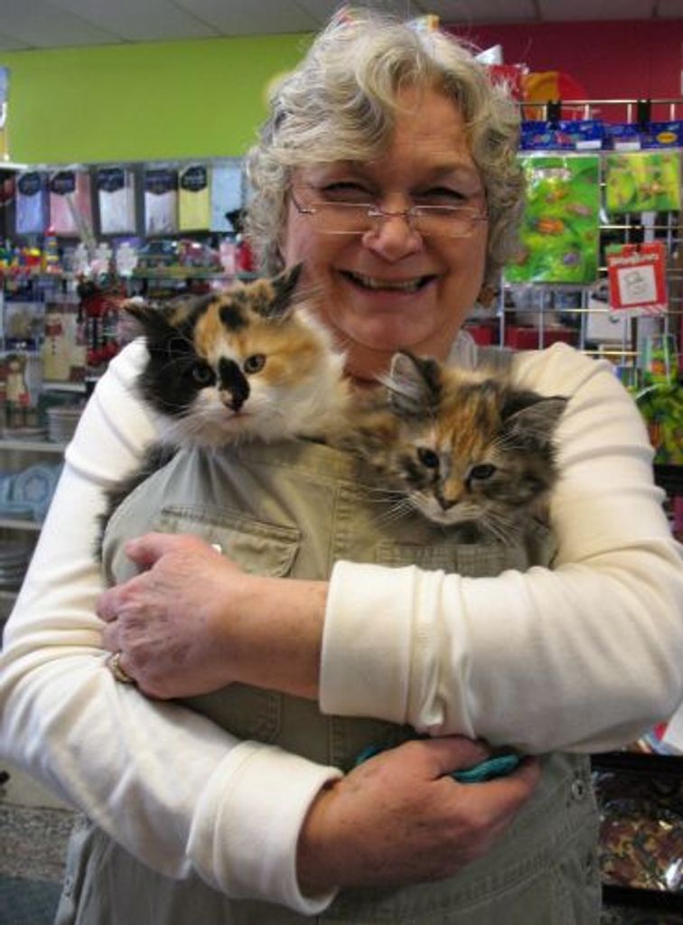Lorene "Laurie" L. Jenkins Profile Photo