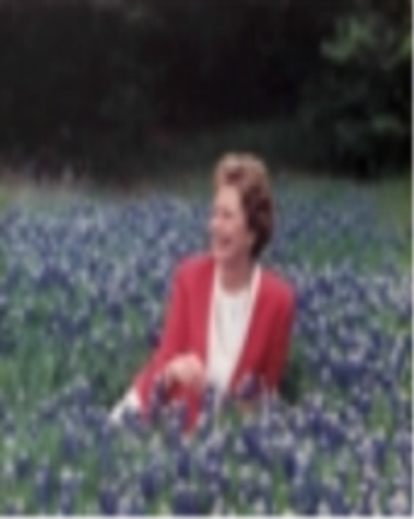 Janet Joan Messerschmitt