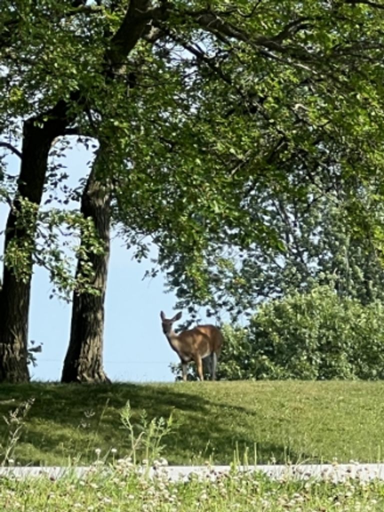 Harold Wayne Kensinger Jr. Profile Photo
