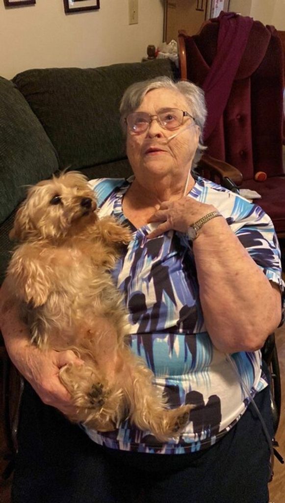 Lois A Welch Profile Photo