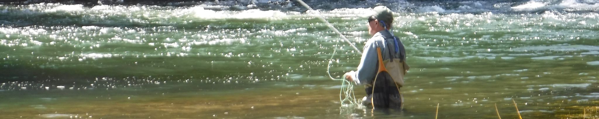 Cover for Earle F. Layser's Obituary