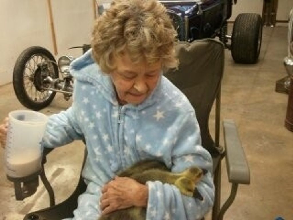 Donna Mae Schulz Profile Photo