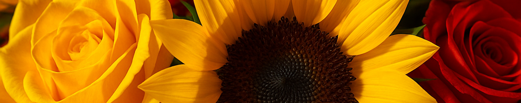 Cover for Shirley Lee Cunningham's Obituary