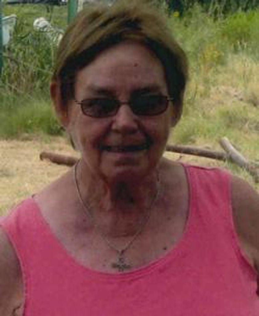 Judy Devenport Profile Photo