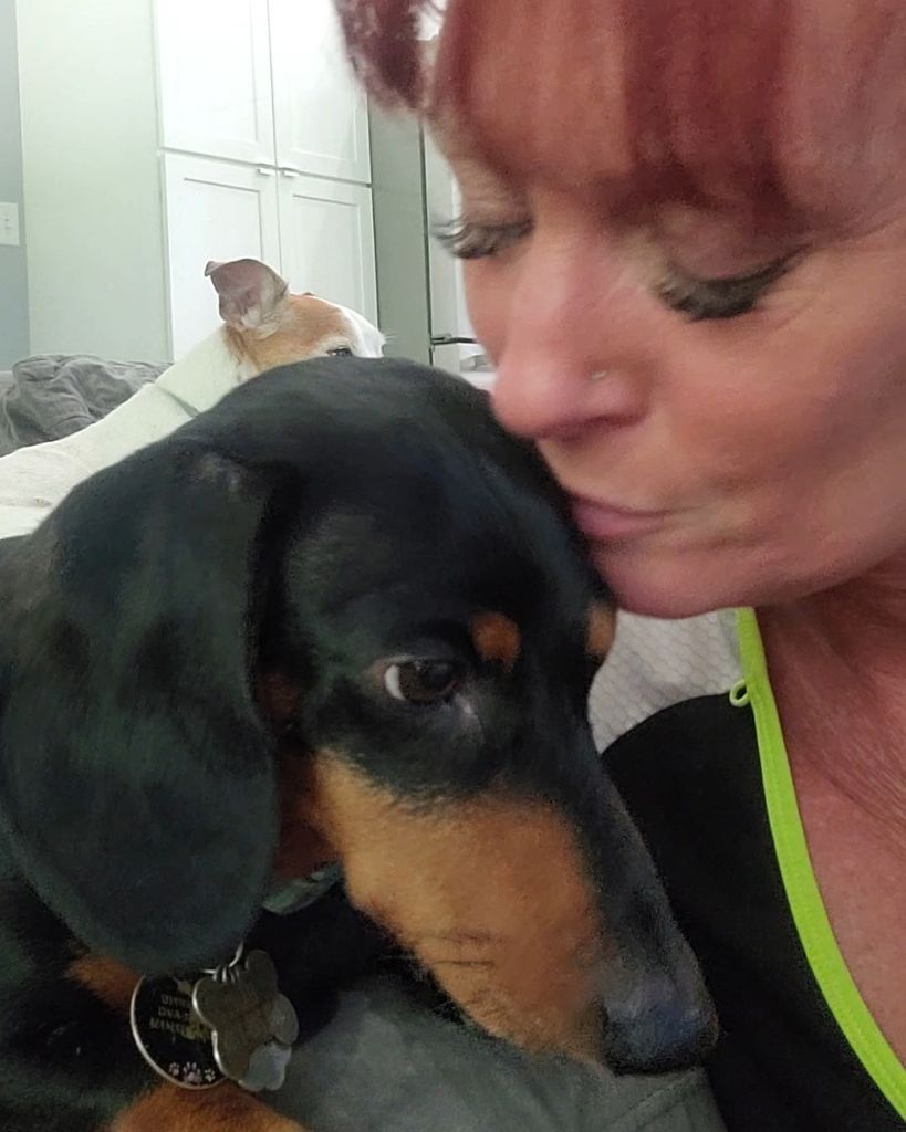 Hans Palmiter Profile Photo