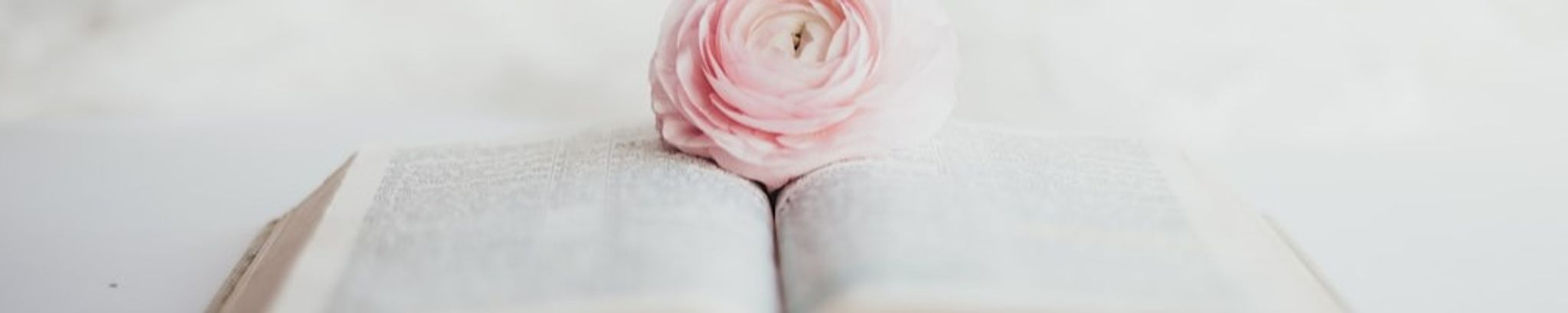 Cover photo for Sarita Vega's Obituary