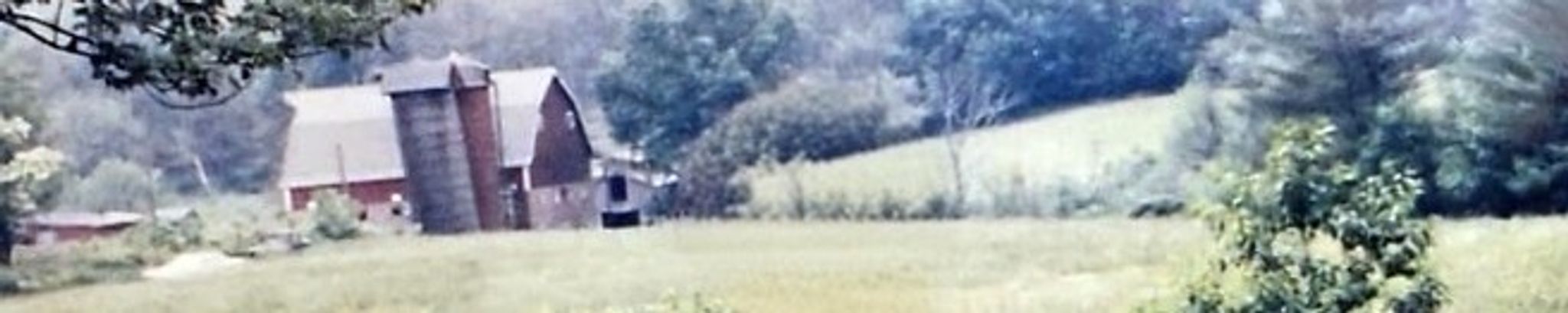 Cover for Angela M. Giobellina's Obituary