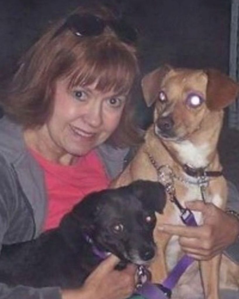 Pamalou Young Profile Photo